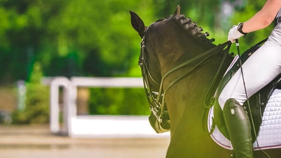 Equestrian: Championship Finals 2022-23