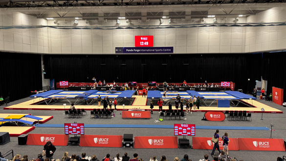 C40C7C6D-2B2A-4571-995363B66531500B